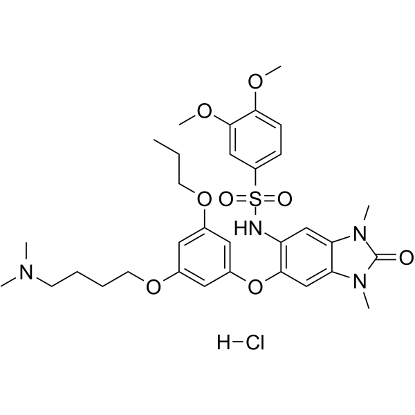 IACS-9571 hydrochloride CAS No.2319611-93-1