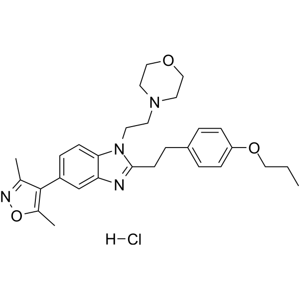 PF-CBP1 hydrochloride CAS No.2070014-93-4