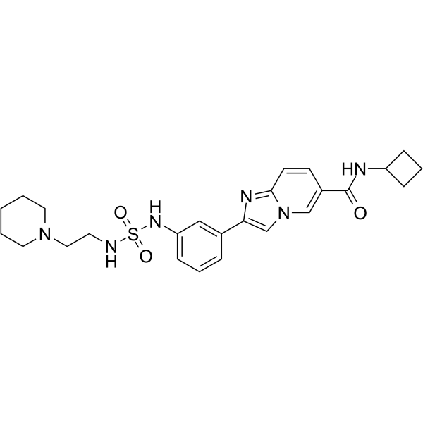 SR-0813 CAS No.2597186-19-9