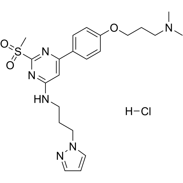 TP-238 hydrochloride CAS No.2415263-05-5