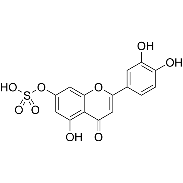 Luteolin 7-sulfate CAS No.56857-57-9