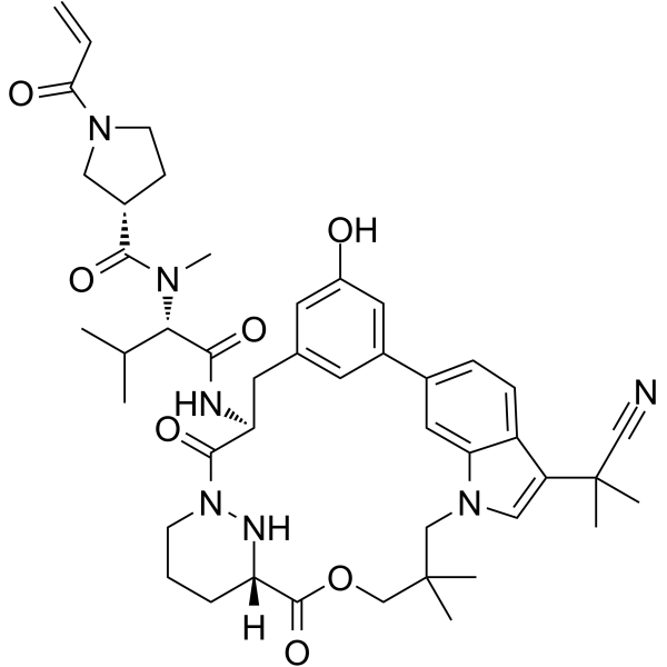 RAS/RAS-RAF-IN-1 CAS No.2447039-81-6