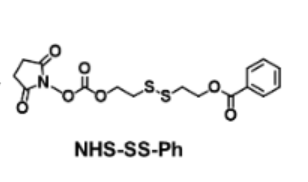 NHS-SS-Ph