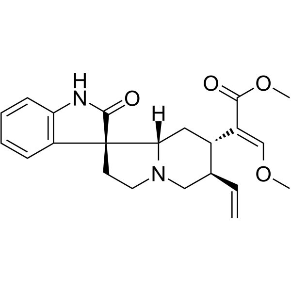 Isocorynoxeine CAS No.51014-29-0