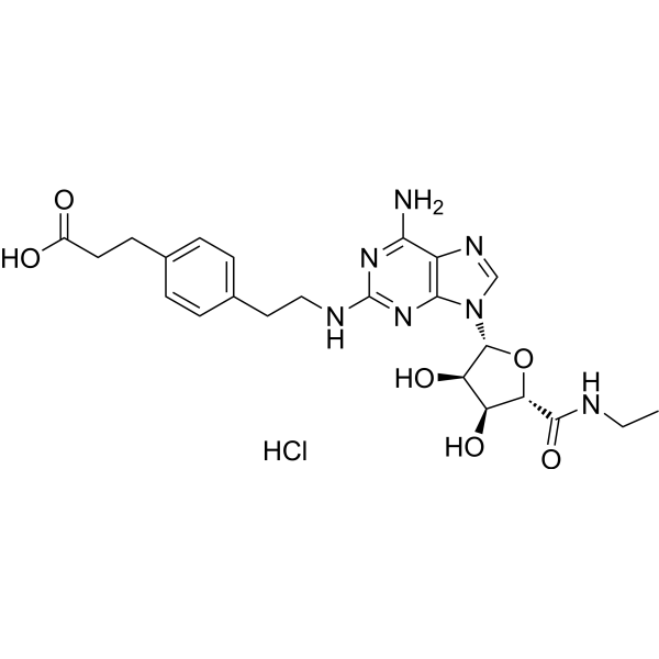 CGS 21680 Hydrochloride CAS No.124431-80-7