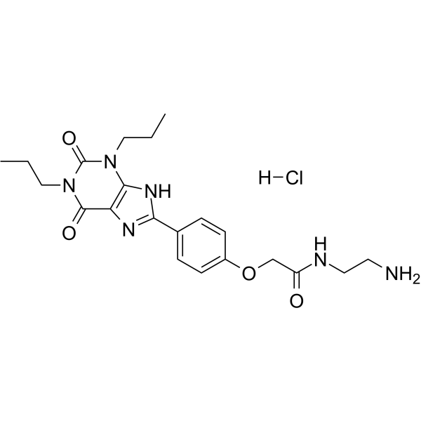 Xanthine amine congener hydrochloride CAS No.1783977-95-6