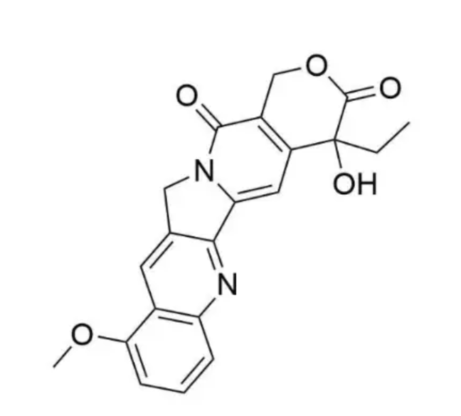 Biotin-9-Methoxycamptothecin