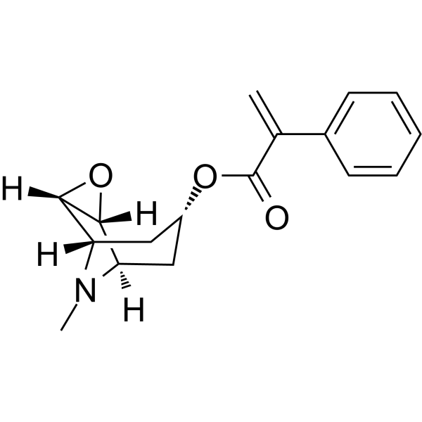 Aposcopolamine CAS No.535-26-2