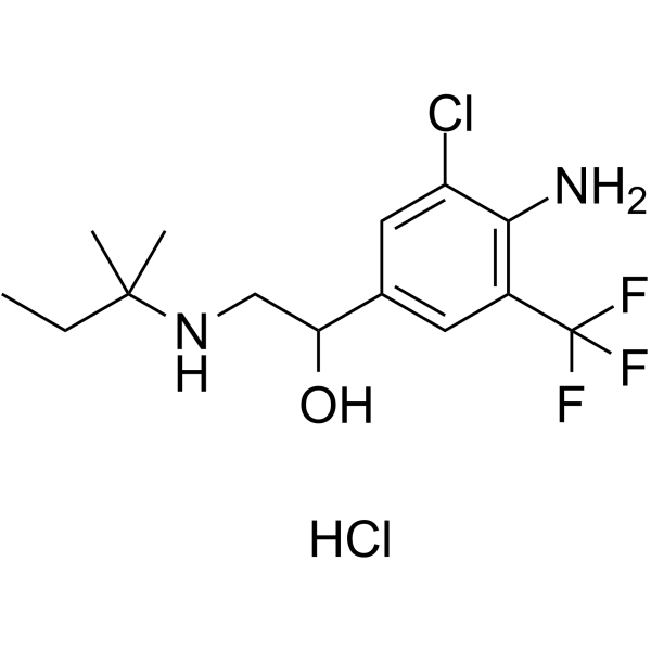 Mapenterol hydrochloride CAS No.54238-51-6