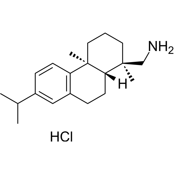 Leelamine hydrochloride CAS No.16496-99-4