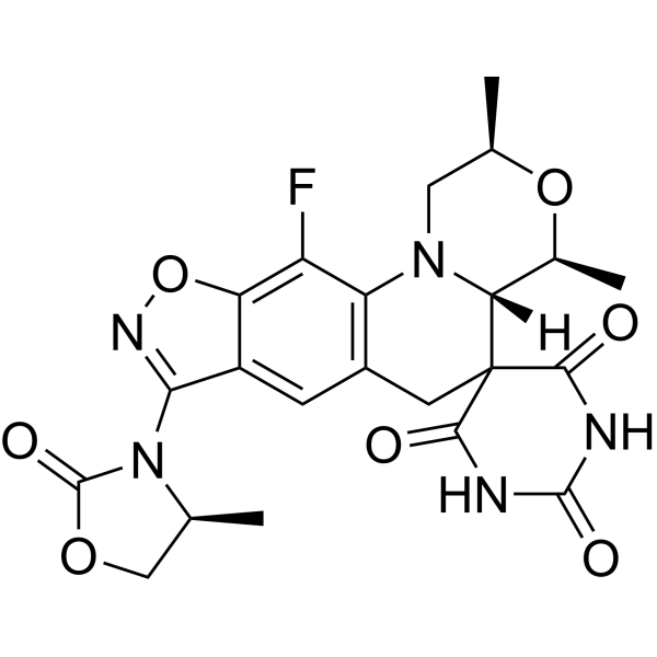 Zoliflodacin CAS No.1620458-09-4