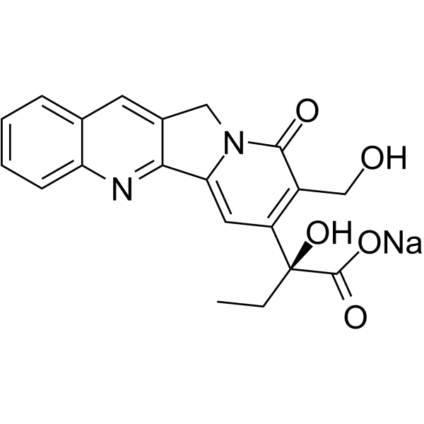 Sodium Camptothecin CAS No.25387-67-1 - Ruixibiotech