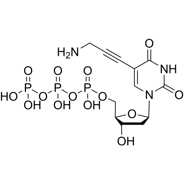 5-PA-dUTP CAS No.179101-49-6