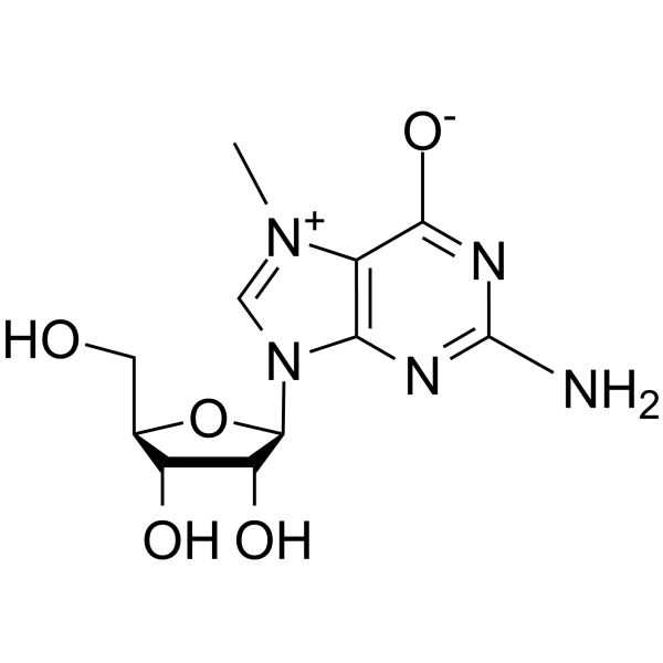 7-Methylguanosine CAS No.20244-86-4