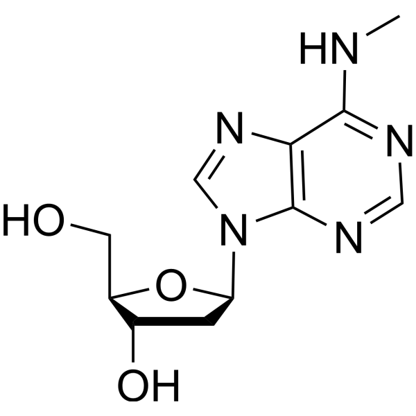 N-6-Methyl-2-deoxyadenosine CAS No.2002-35-9