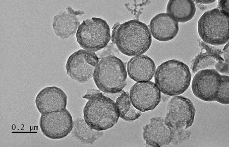 Hollow mesoporous carbon sphere