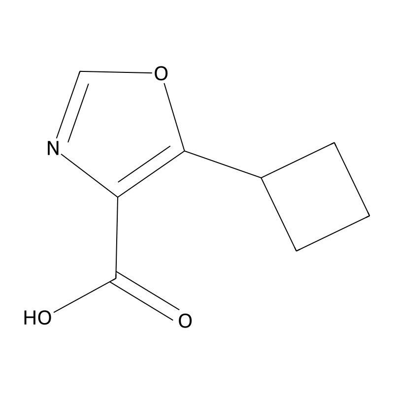 5-Cyclobutyl-1,3-oxazole-4-carboxylic acid CAS No.:1083274-51-4