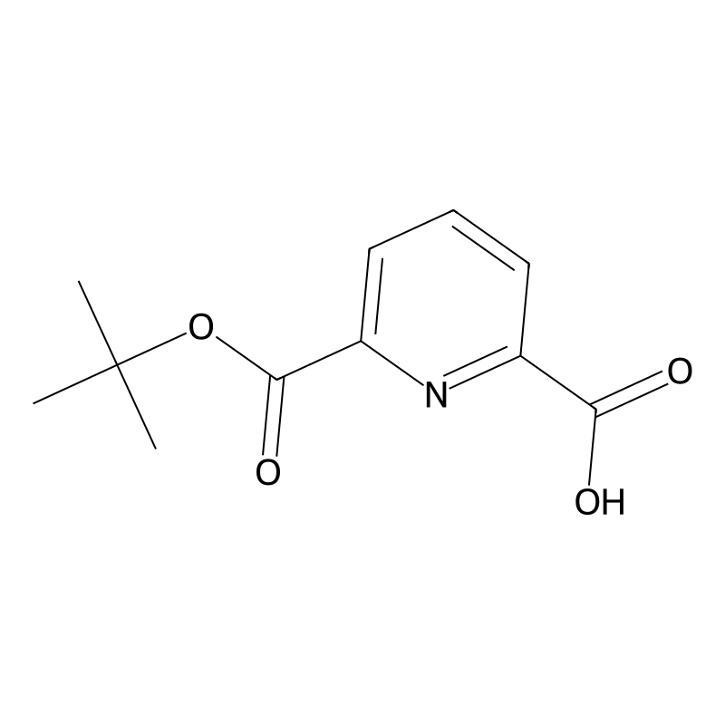 6-(tert-Butoxycarbonyl)picolinic acid CAS No.:575433-76-0