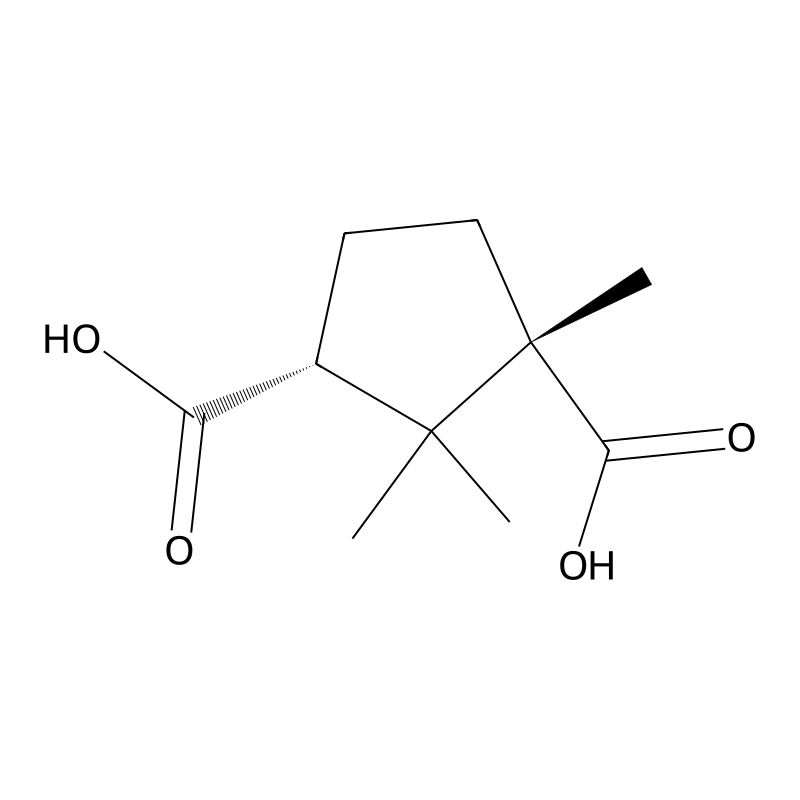 (-)-Camphoric acid CAS No.:560-09-8