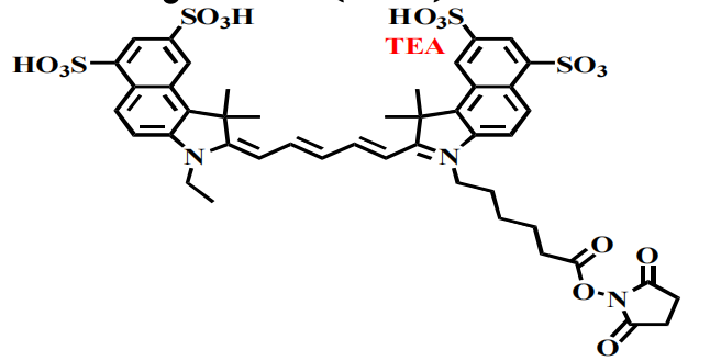 Sulfo Cyanine5.5 NHS ester