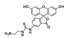 5-FITC-C2-amine