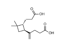 b-Caryophyllinic Acid     CAS:957055-11-7