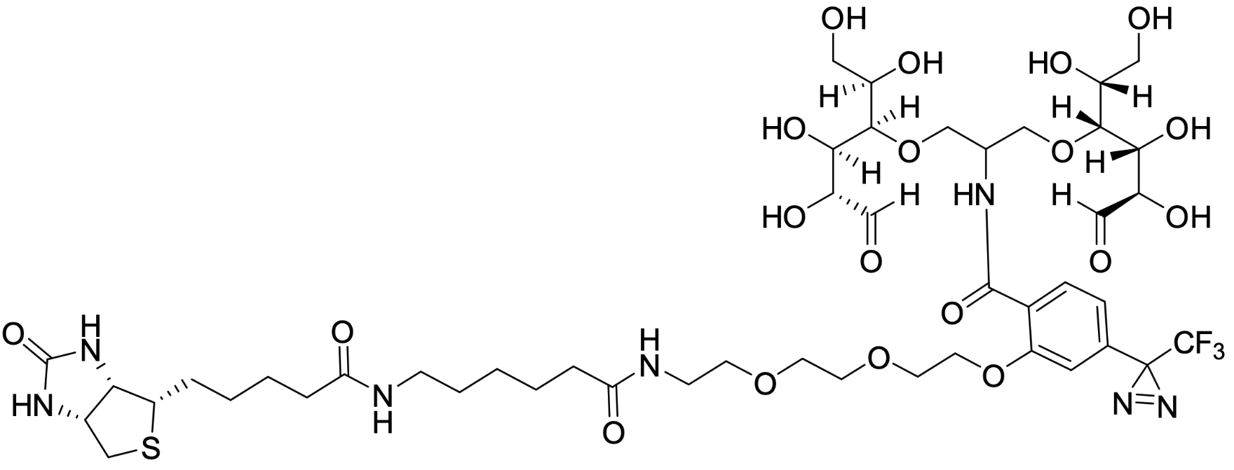 Biotinylated Photolabeling Reagent (bio-LC-ATB-BGPA)  CAS:340293-00-7