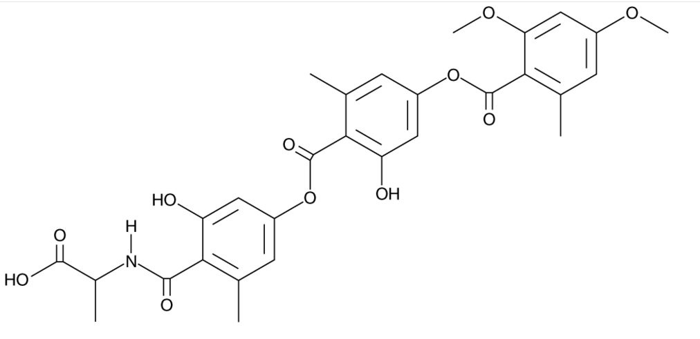 Amidepsine A     CAS:169181-28-6