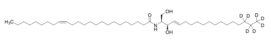 C24:1 Ceramide-d7    CAS:1840942-16-6