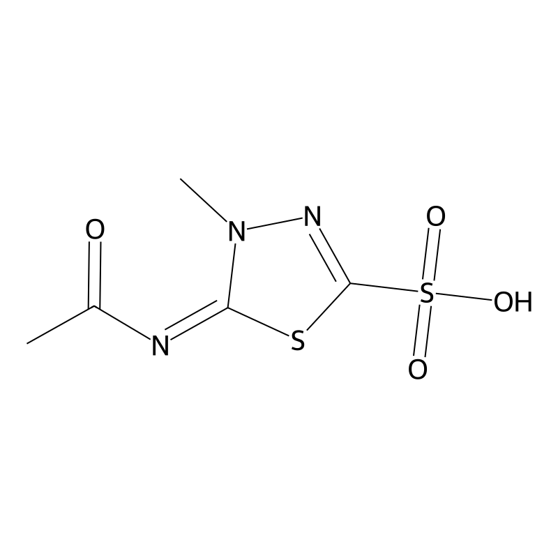 5-(Acetylimino)-4,5-dihydro-4-methyl-1,3,4-thiadiazole-2-sulfonic Acid CAS No.:1312679-00-7