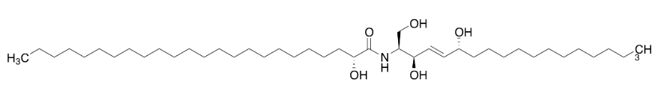 Ceramide 7   CAS:873802-45-0