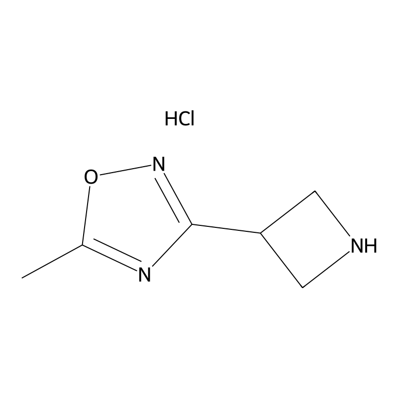 3-Azetidin-3-yl-5-methyl-1,2,4-oxadiazole hydrochloride CAS No.:1309207-10-0