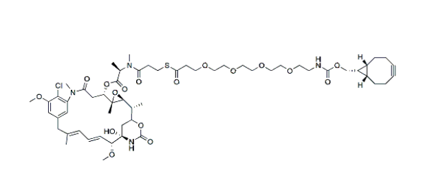DM1-PEG4-BCN 