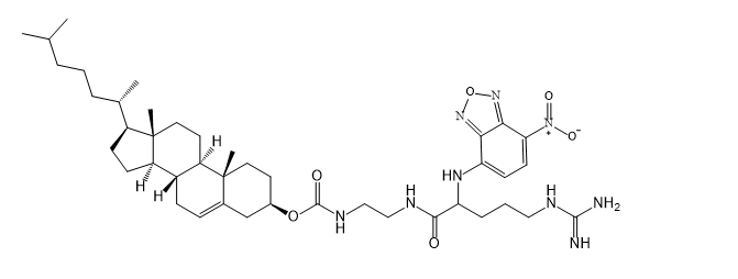 Cholesterol-arginine-NBD 