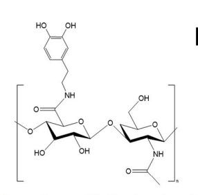 HA-Dopamine