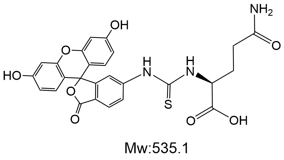 FITC-Glutamine