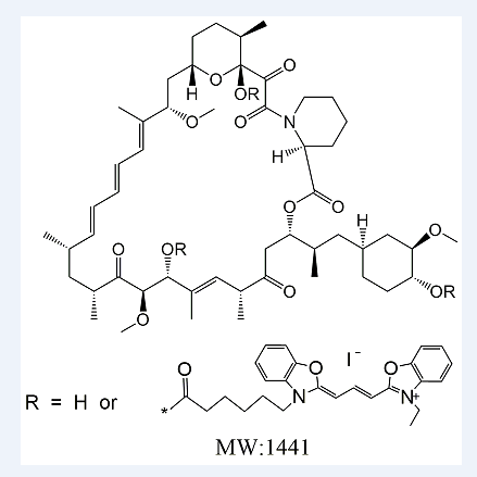 Cy2-rapamycin