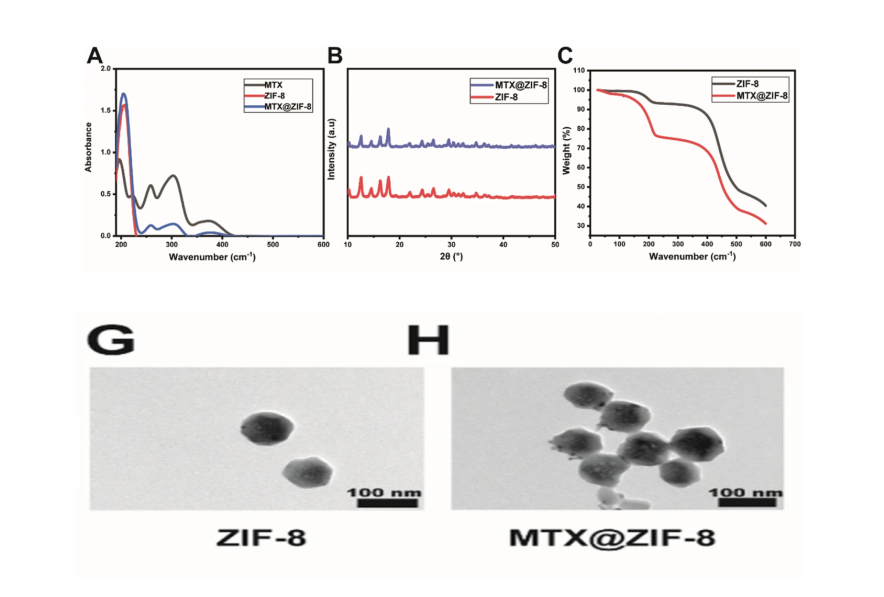 MTX@ZIF-8 nanoparticles 