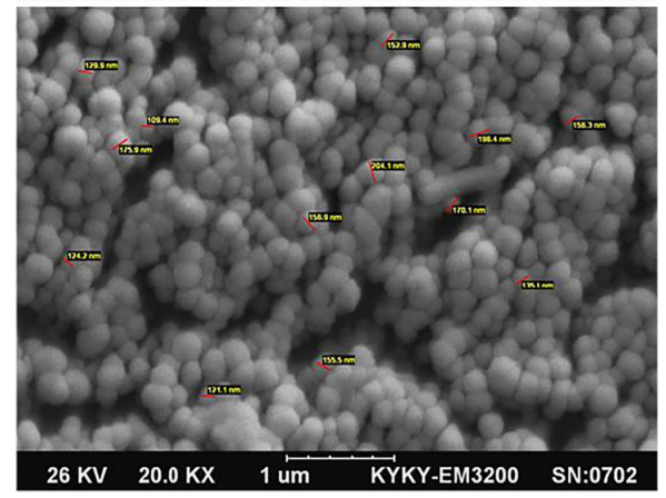 CRTLTVRKC-PLGA-PEG nanoparticles containing imatinib