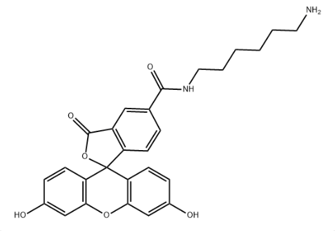 FITC-NH2