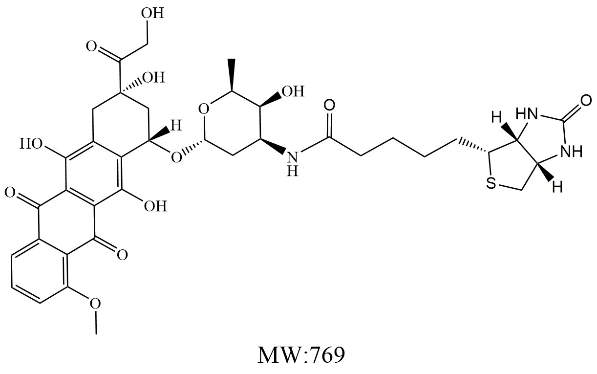 Biotin-doxorubicin