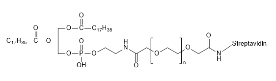 DSPE-Peg-Streptavidin