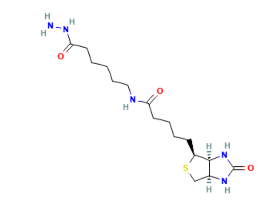 Biotin-6-aminocaproyl hydrazide,cas:109276-34-8
