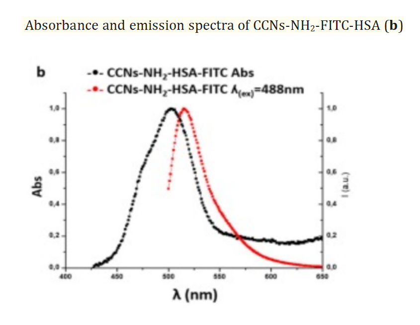 CCNs-NH2-FITC-HSA