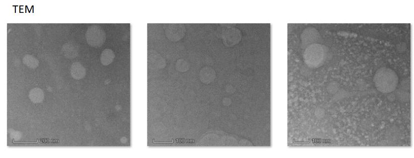 CY5+PEG modified liposomes drug delivery,100-150nm  