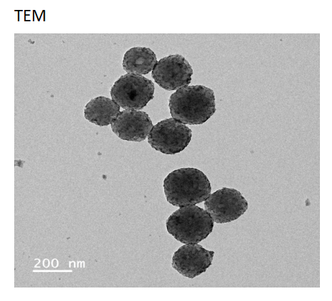 Au/Cu/ZIF-8 loaded oxidized caryophyllene and cinnamic acid 