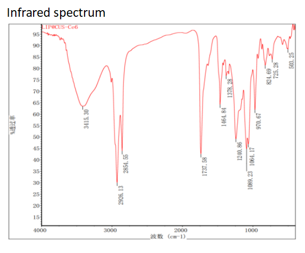 Liposome@CuS and ce6 (±100nm)  