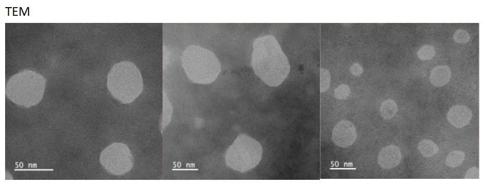 Liposomal nanoparticles encapsulating APG-115 and Lenvatinib,100nm