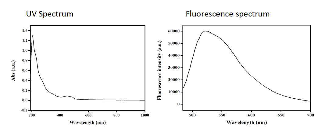 FITC+targeting peptide Asp8 modified liposomes@DHA Ceramide