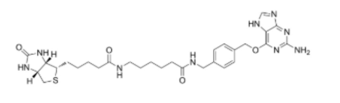 SNAP-Biotin,cas471918-16-8